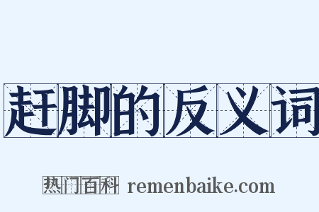 赶脚的反义词是什么意思的图片